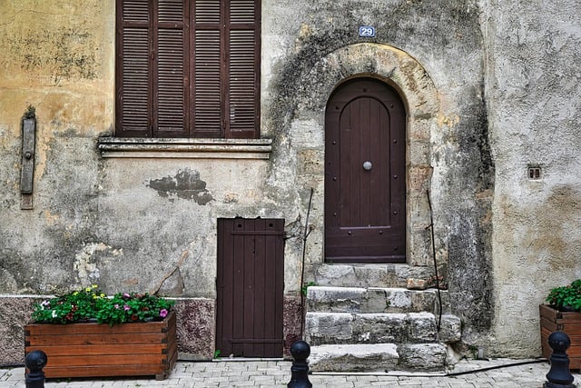 Addio Muffa: Rimedi Naturali e Soluzioni Efficaci per Liberare la Tua Casa da questo Fastidioso Problema