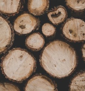 Sfrutta il potenziale delle frese per legno: Guida all’uso e alla scelta delle migliori frese
