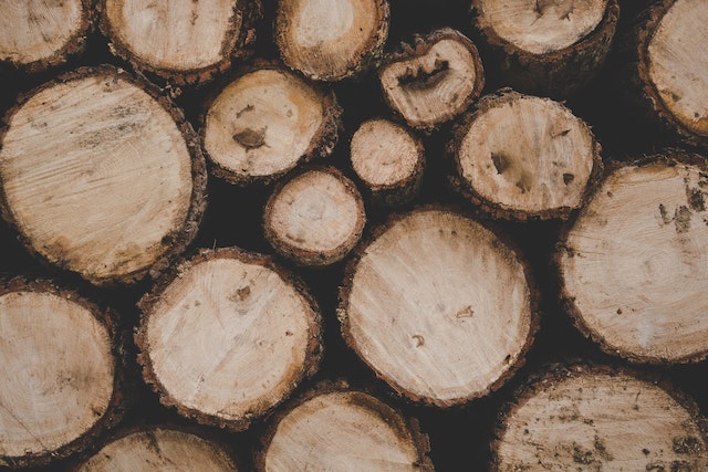 Sfrutta il potenziale delle frese per legno: Guida all’uso e alla scelta delle migliori frese
