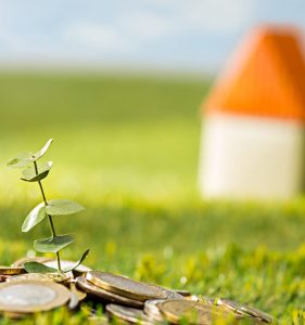 Quanto si paga di Irpef sui terreni agricoli?